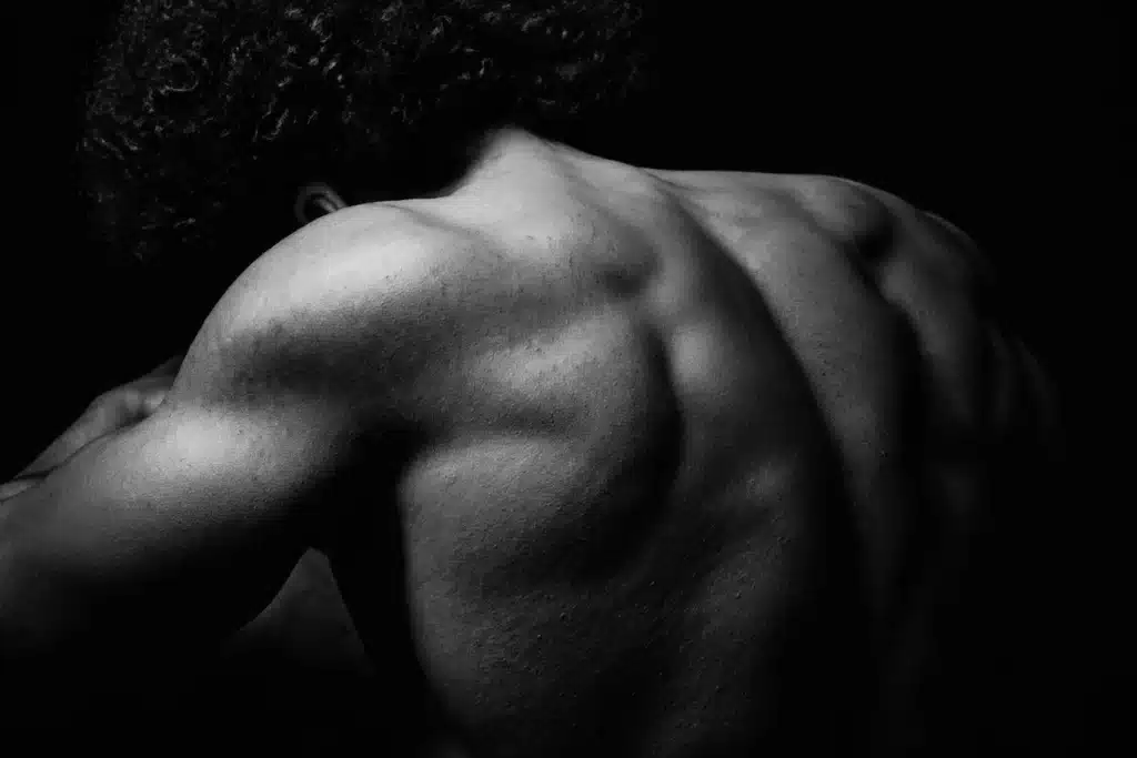 A close‑up shot of a man’s well‑defined back muscles, sharp detail, clean lighting, plain background